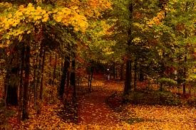 Nature imges Nature imges Nature imges Nature imges Nature imges Nature imges Nature imges